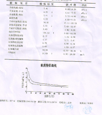 13.4.10血流变学报告.png