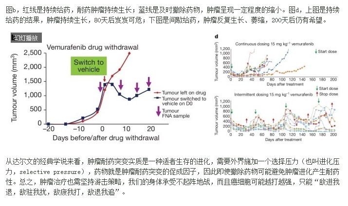 耐药2.jpg