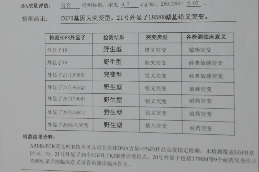 基因检查报告