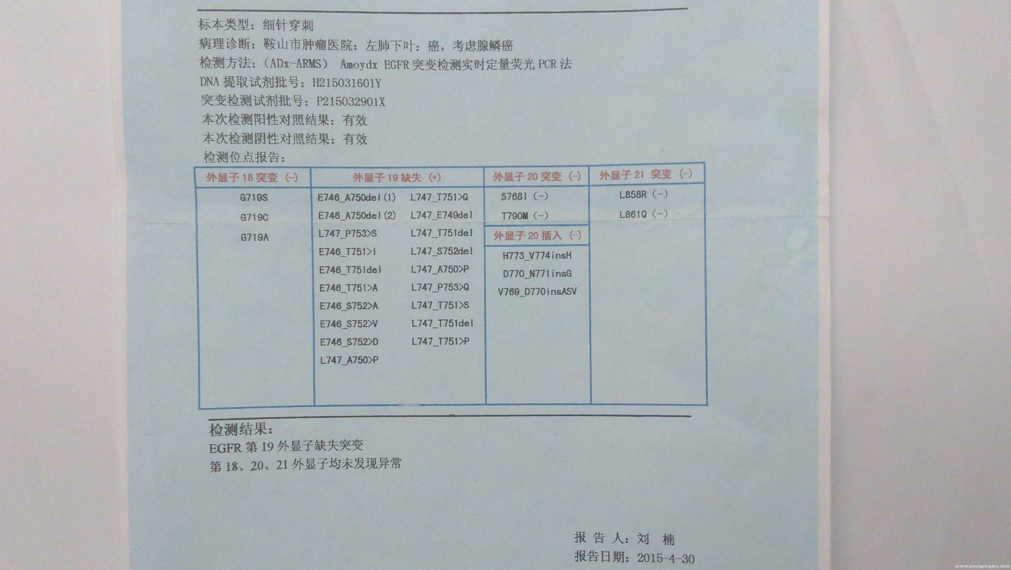 一年前检测的报告