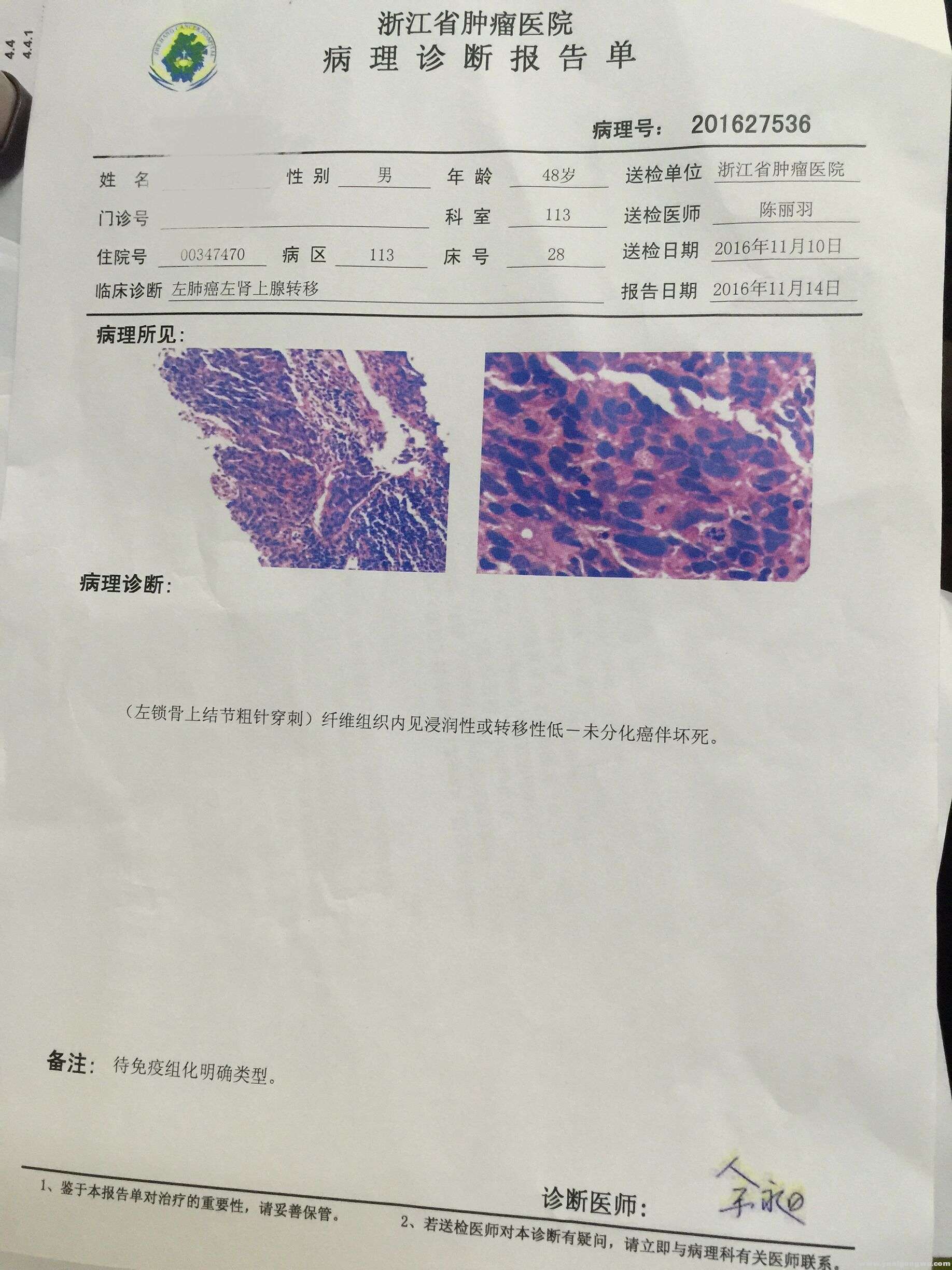 病理报告单1