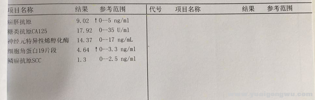 验血6