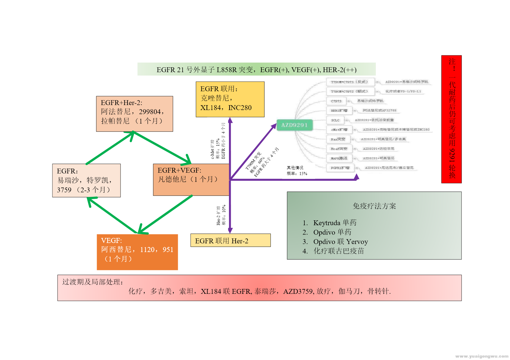 治疗流程图.png