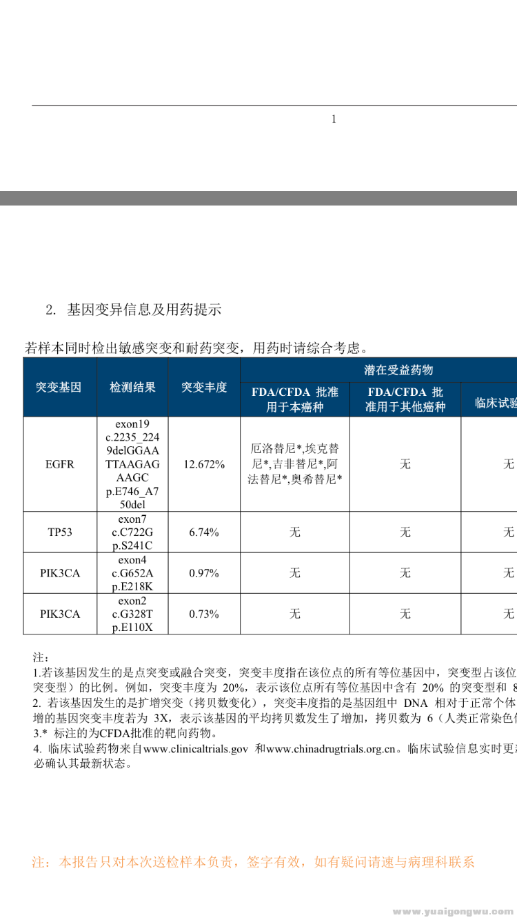 检测报告