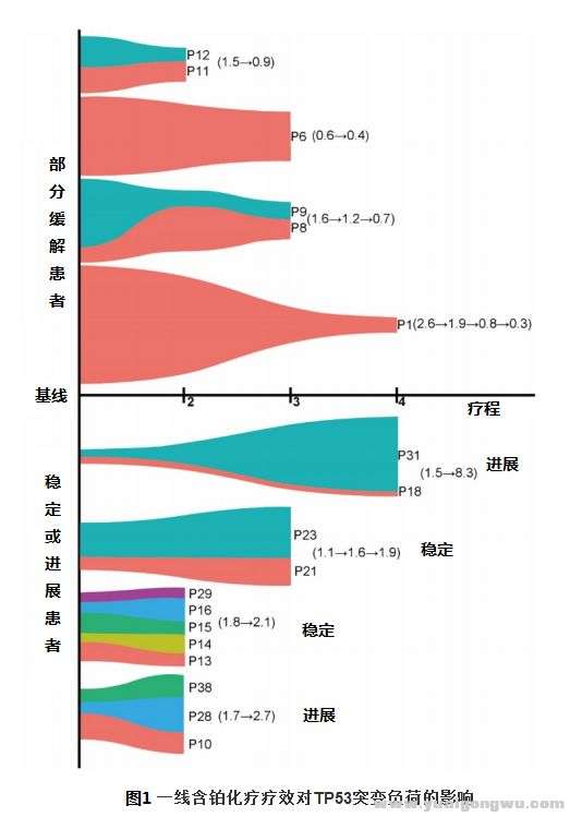 晚期NSCLC1.jpg