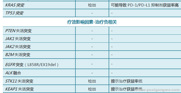 基因检测