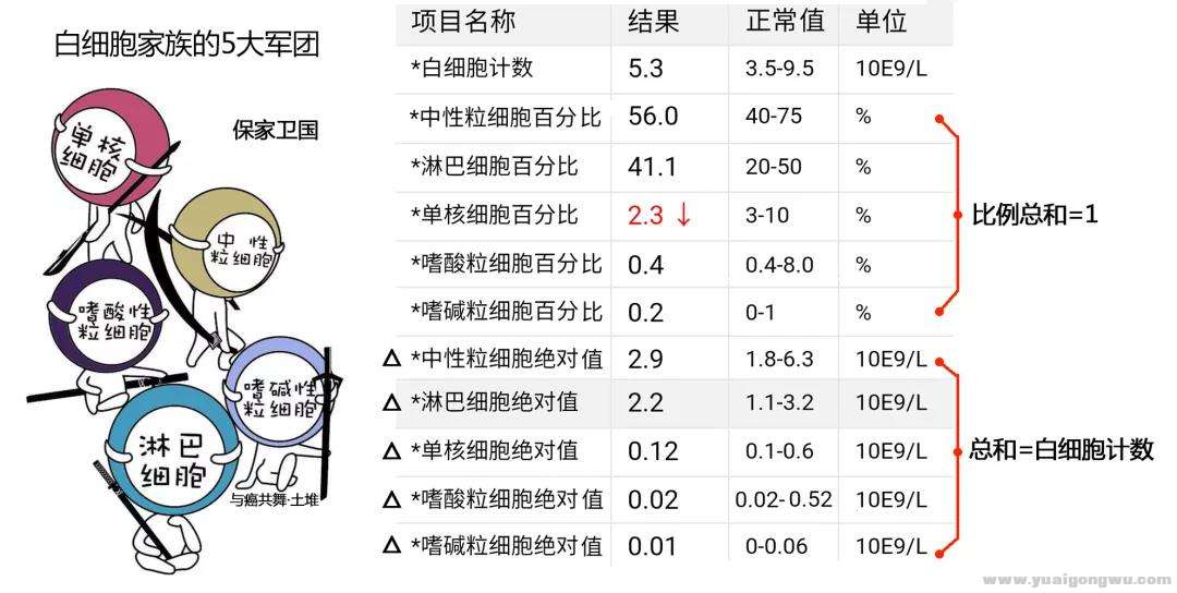 微信图片_20200703092737.jpg