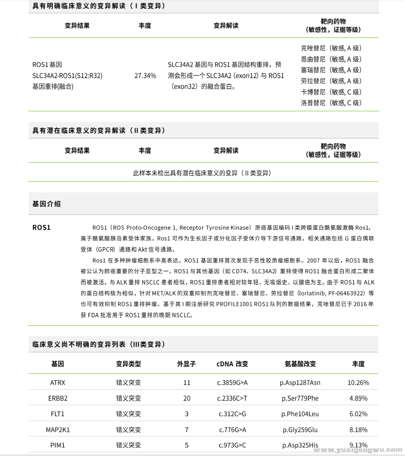 基因检测结果