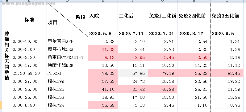 肿标数据