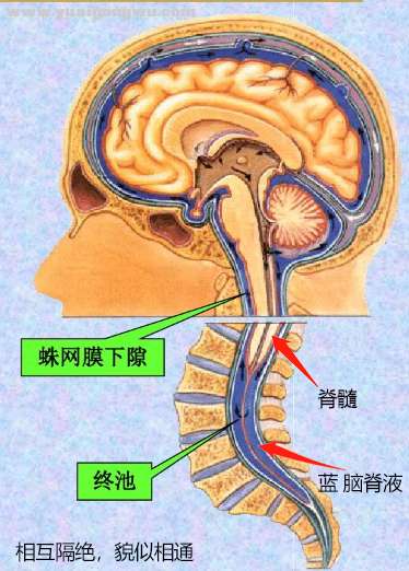 微信截图_20201027102029.jpg