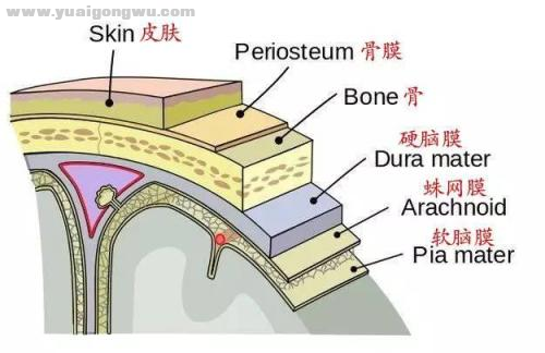 微信图片_20201027103212.png